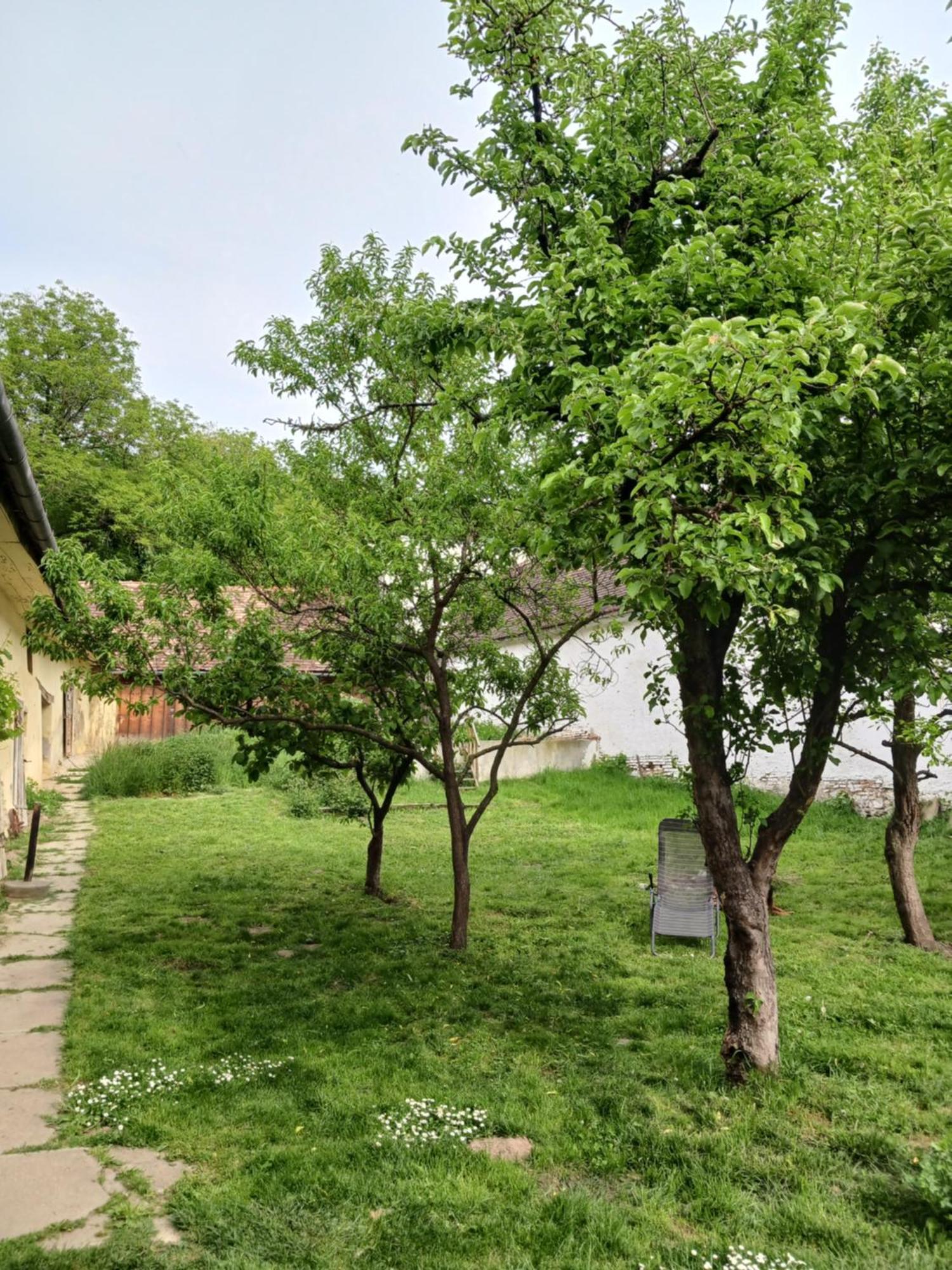 Richisu Casa Arthur Richis מראה חיצוני תמונה